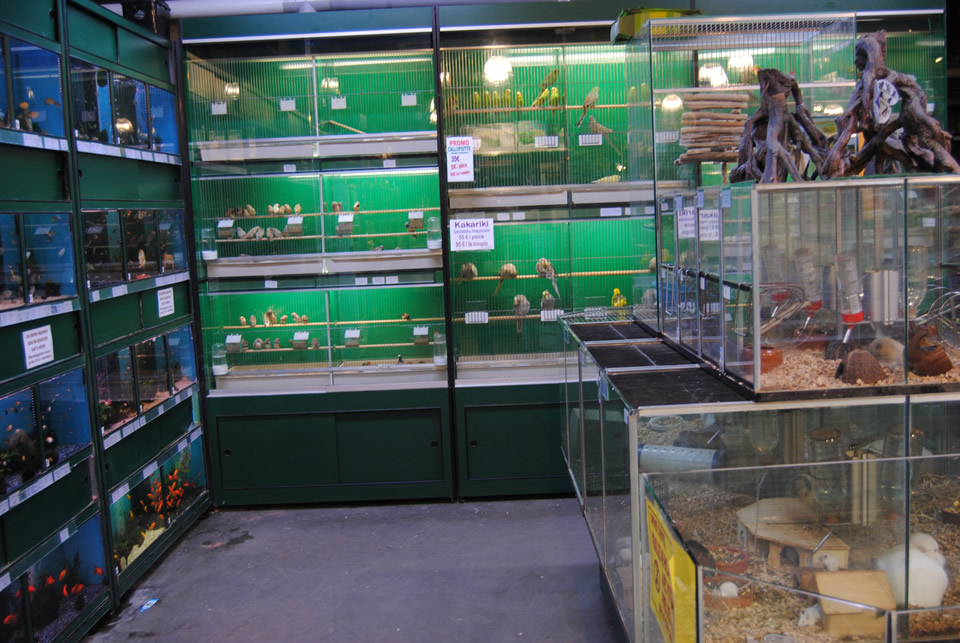 Delbard - Article animalerie